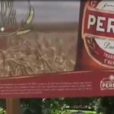 Birra Peroni festeggia la raccolta dell’orzo. Dai campi a tavola