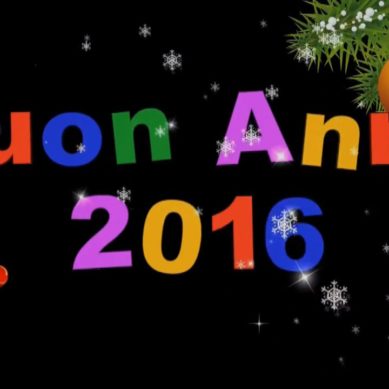 Auguri di Buon Anno 2016…serenità