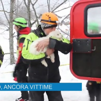 La cronaca del 24.01.2017