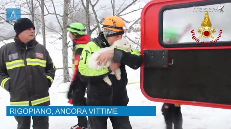 La cronaca del 24.01.2017