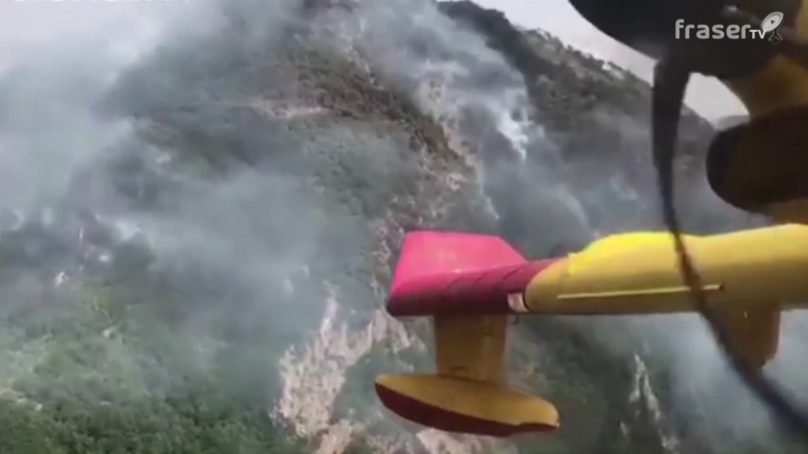 Incendi: in Italia distrutti 51.000 ettari di terreno