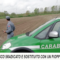 TG di Casale: Edizione flash del 15.04.2019